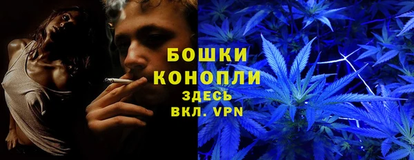 МДПВ Бородино